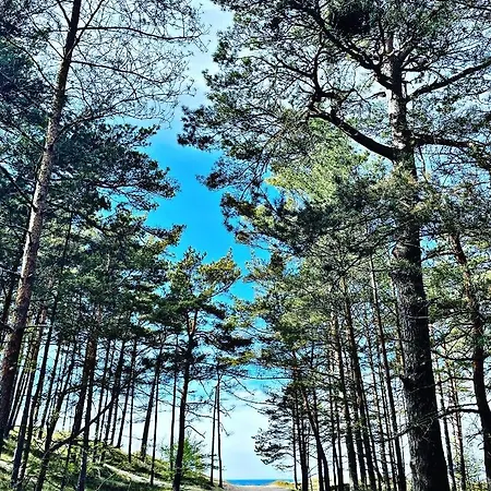 Apartman Port Przewloka -