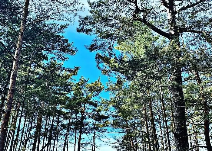 Appartement Port Przewloka -